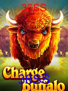 ChargeBuffalo